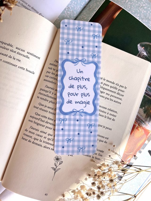 Marque-page vichy bleu « Un chapitre de plus » glissé dans un livre ouvert